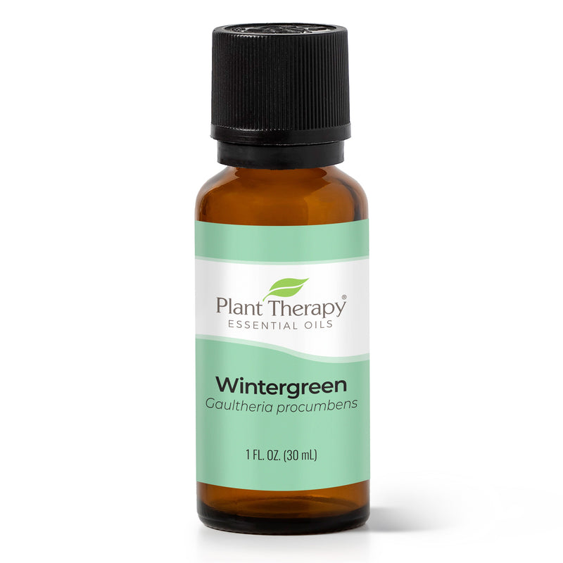 Plant Therapy Wintergreen Essential Oil Essential Oil Dark Sea Green 10 mL,30 mL