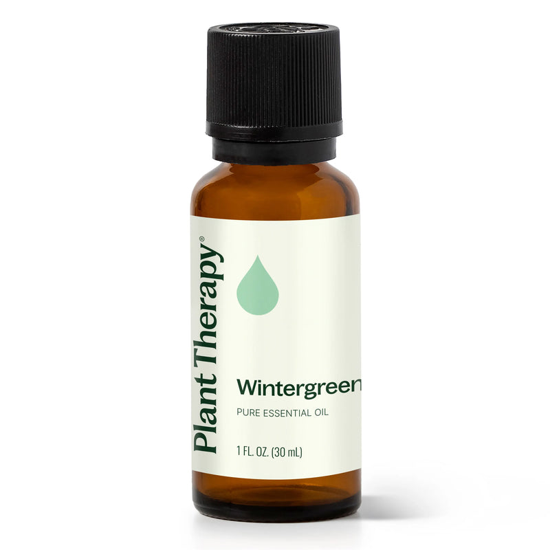 Plant Therapy Wintergreen Essential Oil Essential Oil White Smoke 30 mL