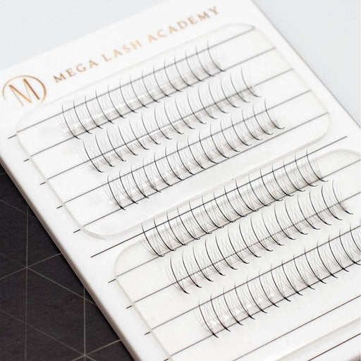 Mega Lash Academy Wispy 5D Mix Rapid Promade Fans - 600 Fans Promade Fans Lavender 0.07 / CC / Mixed 9-10-11-12 mm,0.07 / CC / Mixed 11-12-13-14 mm,0.07 / CC / Mixed 15-16-17-18 mm