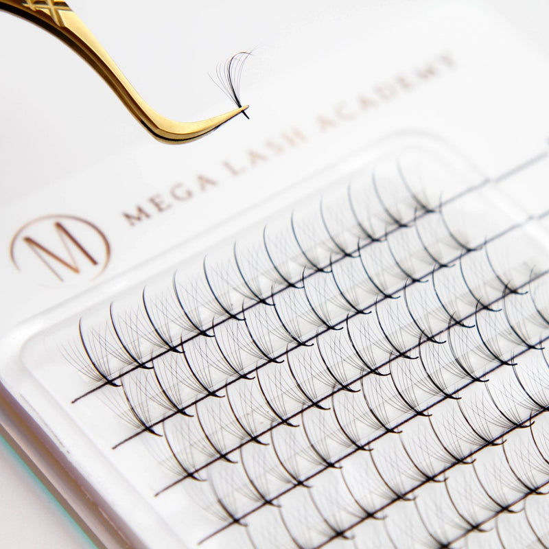 Mega Lash Academy Wispy 5D Rapid Promade Fans - 500 Fans Promade Fans White Smoke 0.07 / CC / 9,0.07 / CC / 10,0.07 / CC / 11,0.07 / CC / 12,0.07 / CC / 13,0.07 / CC / 14,0.07 / CC / 15