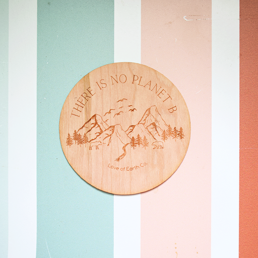 Love of Earth Co. Wooden Stickers White Smoke "There Is No Planet B","don't be trashy",Earth/Wind/Sun (no saying),ALL 3 PLEASE!
