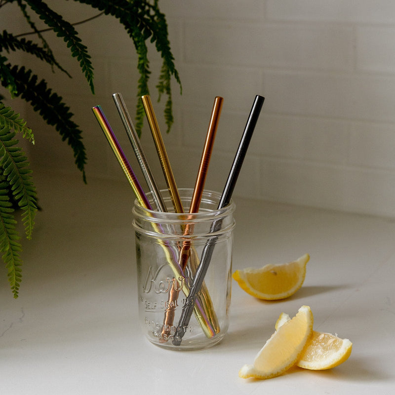 ZeroWasteStore.com Stainless Steel Straw - Straight, Bent, or Boba Style Drinking Straws & Stirrers Slate Gray Straight / Straight 5-Pack