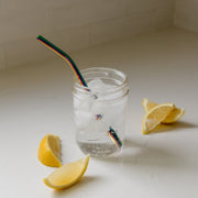 ZeroWasteStore.com Stainless Steel Straw - Straight, Bent, or Boba Style Drinking Straws & Stirrers Dim Gray Straight / Stainless,Straight / Black,Straight / Gold,Straight / Rose Gold,Straight / Rainbow,Straight / Straight 5-Pack,Bent / Stainless,Bent / Black,Bent / Gold,Bent / Rose Gold,Bent / Rainbow,Bent / Bent 5-Pack,Boba / Stainless,Boba / Black,Boba / Gold