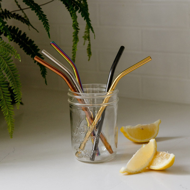 ZeroWasteStore.com Stainless Steel Straw - Straight, Bent, or Boba Style Drinking Straws & Stirrers Slate Gray Bent / Bent 5-Pack